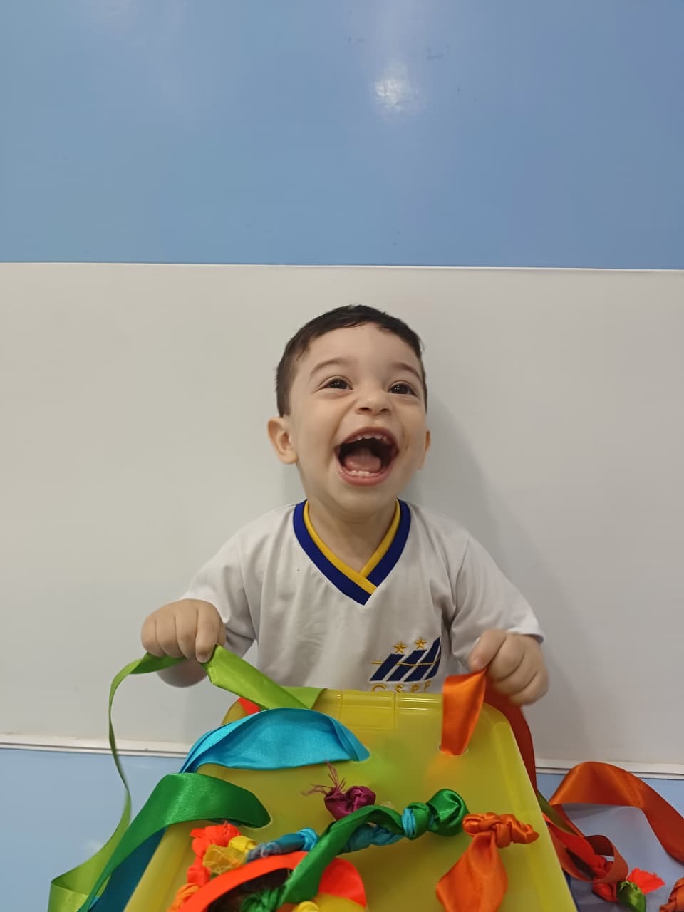 Berçário interno 2